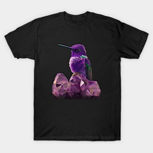 Fantasy Hummingbird perched on Amethyst Crystals T-Shirt